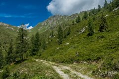 IMG_2158