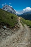 IMG_2159