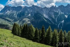 IMG_2160
