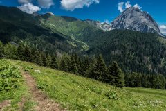 IMG_2161