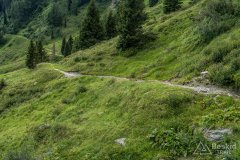 IMG_2163