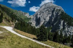IMG_2169