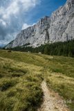 IMG_2171