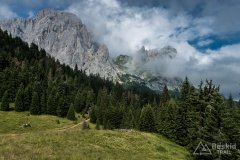 IMG_2172