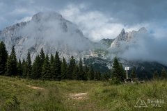 IMG_2176