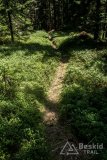 IMG_2191