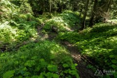 IMG_2193