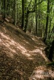 IMG_2195