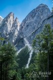 IMG_2200