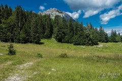 IMG_2201