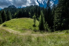 IMG_2203