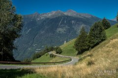 IMG_2228