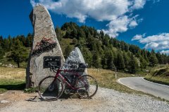 IMG_2230