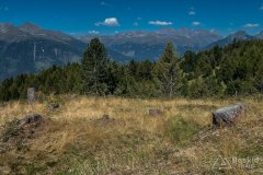 IMG_2232