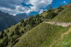 IMG_2236