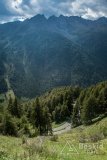 IMG_2237