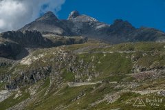 IMG_2240