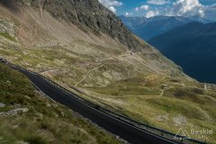 IMG_2245
