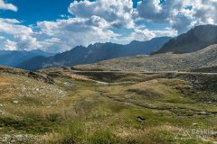 IMG_2246