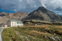 IMG_2247