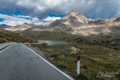 IMG_2250