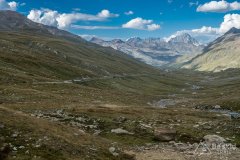 IMG_2251