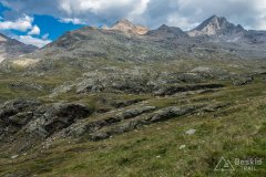 IMG_2252