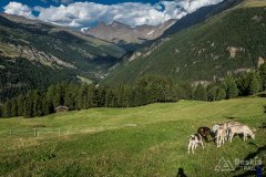 IMG_2253