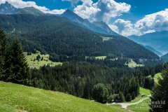 IMG_2262