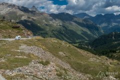 IMG_2275