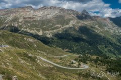 IMG_2276