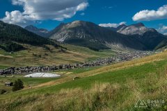IMG_2282