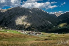 IMG_2286