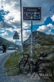 IMG_2290