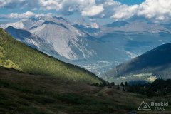 IMG_2291