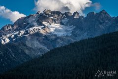 IMG_2294