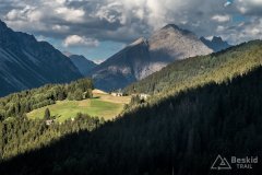 IMG_2295
