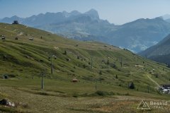 IMG_2311