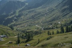 IMG_2312