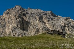 IMG_2313