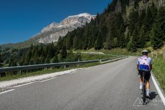IMG_2317