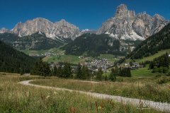 IMG_2331
