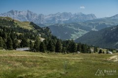 IMG_2343