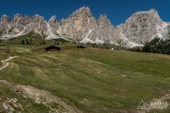 IMG_2345