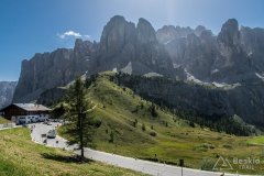 IMG_2347