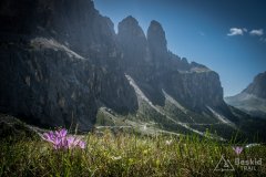 IMG_2349