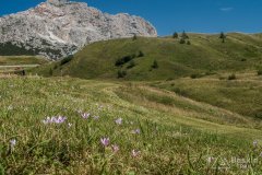 IMG_2351