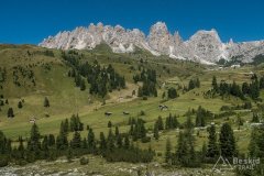 IMG_2355