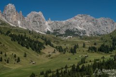 IMG_2356