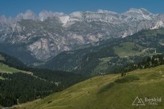 IMG_2362